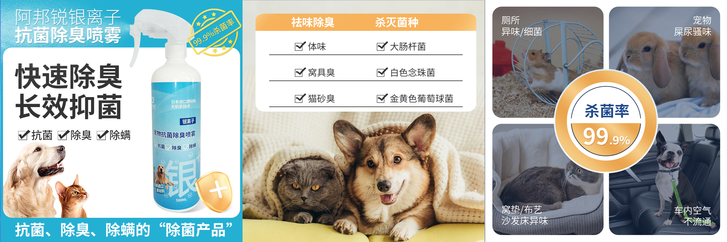 寵物.jpg